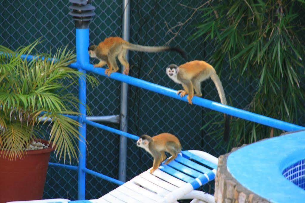 Condominio Villas El Parque Manuel Antonio Eksteriør bilde